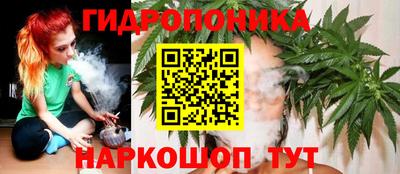 сатива Заводоуковск